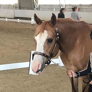 Meet your Posher, Angie